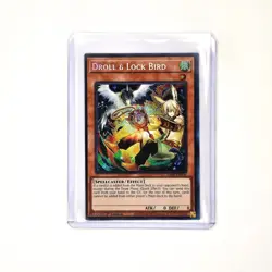 Droll & Lock Bird (Alternate Art) (Platinum Secret Rare) RA02-EN006 Yu-Gi-Oh - Image 1