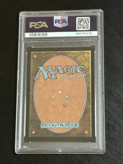 PSA 8 Swamp FOIL 105 (Bob Ross) - 2020 Magic Secret Lair Happy Little MTG - Image 2