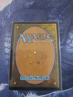 Misty Rainforest Zendikar Regular - Image 2