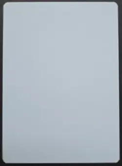 RARE SIGNED MtG Magic Chris Rush _ Revised Artist Proof _ NETHER SHADOW _ 1/100! - Image 3