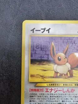 Pokemon TCG: Eevee - Japanese No.133 Neo 2 Premium File Promo Vintage 2000 NM #2 - Image 3
