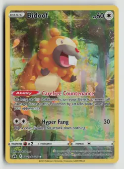 Bidoof GG29/GG70 Pokemon Crown Zenith: Galarian Gallery Ultra Rare NM - Image 1