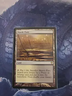 Marsh Flats Zendikar Regular - Image 1
