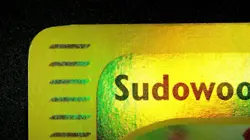 Sudowoodo 36/147 Reverse Holo Pokemon Aquapolis 2002 Wotc Vintage LP/NM - Image 4