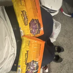 Pokemon Trick or Trade Booster Bundle 40 Packs Gengar Pikachu English TCG - Image 2