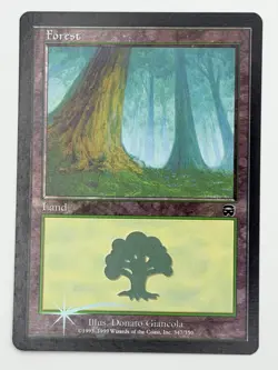 MTG Mercadian Masques #347 Forest (347) - Foil - Image 1