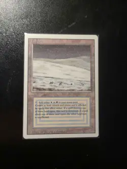 Tundra #289 Magic Revised Dual Land - Image 1