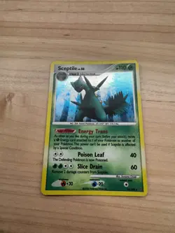 Pokemon TCG Sceptile Holo Rare Card 10/100 Stormfront - Image 1