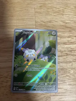 Pokemon Togedemaru 104/094 Mega Evolutions: Phantasmal Flames Illustration Rare - Image 2