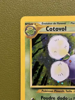 Cotovol 7/111 Holo French Neo Genesis/Expedition Pokemon TCG - LP/MP Condition - Image 3