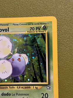 Cotovol 7/111 Holo French Neo Genesis/Expedition Pokemon TCG - LP/MP Condition - Image 4