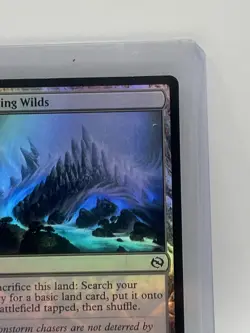 MTG Evolving Wilds TDM Tarkir Dragonstorm MTG 255 FOIL COMMON M/NM - Image 3