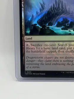 MTG Evolving Wilds TDM Tarkir Dragonstorm MTG 255 FOIL COMMON M/NM - Image 5