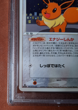 Pokemon Eevee 079 Japanese PAS 10 Golden Sky 1st Edition 079/106 ex Unseen - Image 5