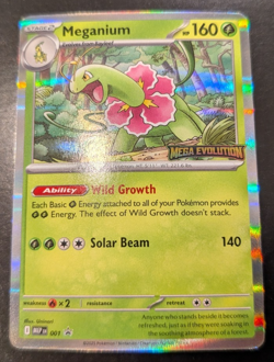 Pokemon Meganium MEP 001 Black Star Promo NM - Image 1