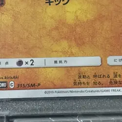 Riolu Pokemon Card Gym Promo C 315/SM-P TCG Nintendo Japanese From Japan - Image 3