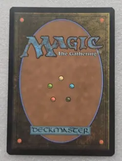 Turtles in Time - Foil Extended Art TMNT LP MTG - Image 2