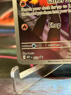 Charcadet MEP 022 (NM) - Mega Evolution Black Star Promo - Pokemon TCG - Image 3