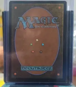 Delina, Wild Mage (Showcase) Adventures in the Forgotten Realms Regular - Image 2