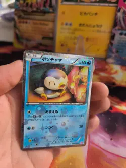 Pokemon Karte Card Holo Piplup Plinfa Shiny Collection Bw japanese Exc - Image 3