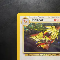 Pokemon Vintage Holo Rare Pidgeot 8/64 Jungle WotC 1999 - Image 2