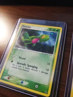 Pokemon promo cards, Holo/rare, Treecko, Torchic, Mudkip - Image 2