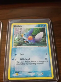 Pokemon promo cards, Holo/rare, Treecko, Torchic, Mudkip - Image 4