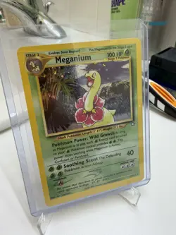 Pokemon - MEGANIUM 11/111 - Neo Genesis - Unlimited Holo - NM/LP - Image 1