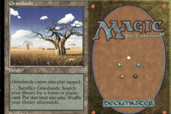 Magic the Gathering -MTG-Grasslands LP - Image 1
