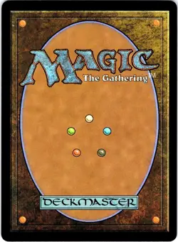 MTG Abandoned Air Temple 0263 TLA Rare Land EN 2025 Avatar - Image 2