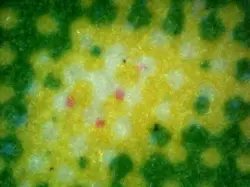 Magic the Gathering MTG TCG Fierce Guardianship R 035/322 Commander 2020 LP/NM - Image 5