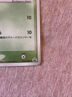 Pokemon Card Japanese - Treecko 016/ADV-P - 7-11 Promo - Holo - Image 5