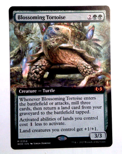 Blossoming Tortoise (Extended Art) - Wilds of Eldraine (WOE) - EN - M 0354 - Image 1