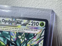 Teal Mask Ogerpon Ex - 166 - Black Star Promo - NM/M - Pokemon Card - Image 3