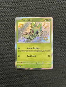 Pokemon TCG Sprigatito SVP 076! LP Condition! See Description! - Image 1