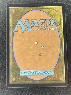 Forest L 482 FIC Chocobo Track Foil Magic the Gathering: Final Fantasy NM - Image 2