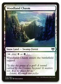 Woodland Chasm #274 (Foil) (NM) Kaldheim KHM Magic MTG - Image 1
