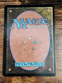 MTG Havenwood Battleground ⭐NM+ ⭐Beatdown ⭐10 HQ PICS! ⭐2000 Vintage Land Magic - Image 2