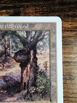 MTG Havenwood Battleground ⭐NM+ ⭐Beatdown ⭐10 HQ PICS! ⭐2000 Vintage Land Magic - Image 4
