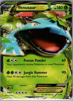 Venusaur EX 1/146 XY Base Set - Pokemon Card - NM - Image 1