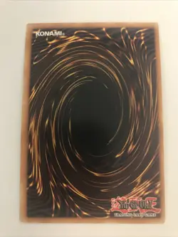Yu-Gi-Oh TCG Dark Paladin #DMG-001 Limited Edition Secret Rare - TCCCX - Image 2