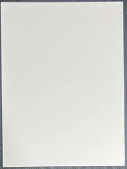 Honkai Impact 3rd Senadina Anime Polaroid Doujin Card v3 - Image 2