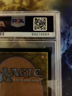 Magic: The Gathering Plains Guru Promo 1999 PSA 6 - Image 5