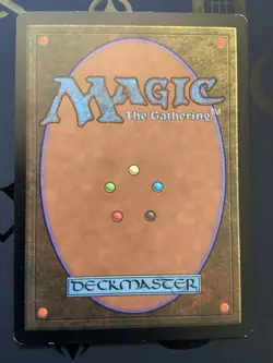 Magic: The Gathering Wasteland Tempest Land Uncommon Regular 1997 English - Image 2