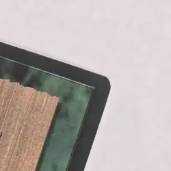 Thermokarst Ice Age Regular NM MTG Magic The Gathering Ships FAST - Image 3