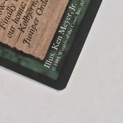 Thermokarst Ice Age Regular NM MTG Magic The Gathering Ships FAST - Image 4