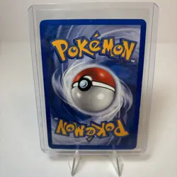 Teddiursa Skyridge e-Series Near Mint 109/144 Regular Non-holo Pokemon Common - Image 2