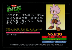 HP - Pokemon Japanese Tyrogue VS Shuckle No. 236 Topsun Top Sun Anime Battle - Image 2