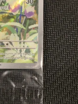 Charmander 044 Sv: Scarlet & Violet Promo Cards Holo SEALED!! - Image 5
