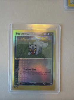Custom Pokemon Ruby and Sapphire Lot for aafresh-0 - Image 5